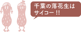 千葉の落花生はサイコー!!